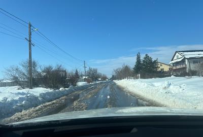 Teren Construcții intravilan de 1616 mp, în Ciocănești - 3