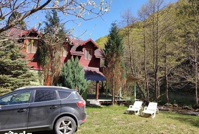 Casă cu 3 camere cu Teren 62 Mp în Gura Râului - 3