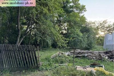 Casa in constructie de vanzare: Aricesti Zeletin,(teren 3100 mp) - 5