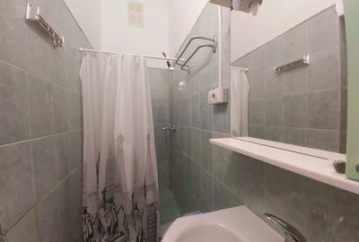 Proprietar, inchiriez 2 camere la casa, ultracentral Proprietar, inchiriez 2 camere la casa, ultracentral - 3