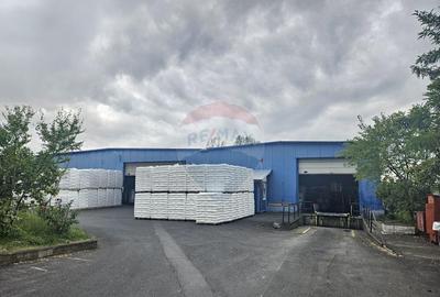 Spa?iu industrial de vanzare - 9