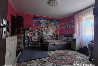 Casă cu 2 camere în Sânnicoară - 17