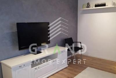 Apartament cu 2 camere semidecomandat în Europa - 10