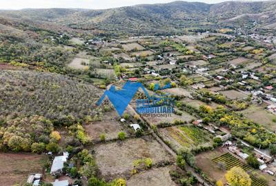 Teren intravilan NICULITEL, zona deosebita, 3044MP - 2