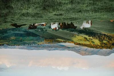 Intoarcere poze - 2