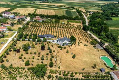 Casă cu 4 camere cu Canalizare în Drauț - 13