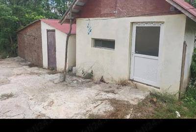 Casă cu Teren 2000 Mp în Central - 1