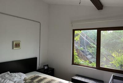Casa-langa studiourile Buftea, 2 constructii, curte cu pomi, 2500mp, langa lac - 36