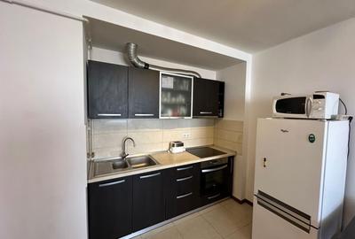 Apartament cu 2 camere decomandat, mobilat în Ferdinand - 6