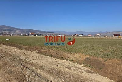 Spațiu comercial, în Central