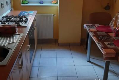 Apartament cu 2 camere decomandat în Turnișor - 9