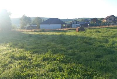 Teren intravilan  |  821 mp | de vanzare- Tocile-Sadu - 7