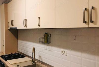 3 cam amenajat GRADINA PRIVATA terasa loc parcare langa Penny si Lidl - 3