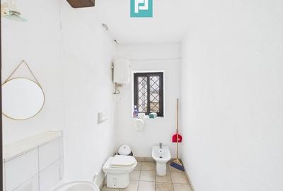 Hală cu teren intravilan de 3500 mp, în Sebiș Arad - 13