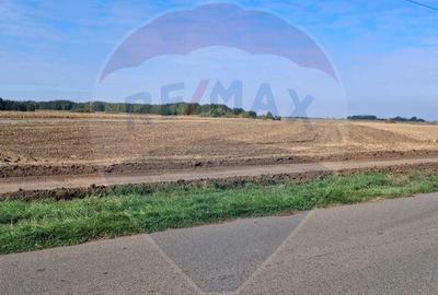 Teren 21,177mp Santaul Mic / Strada - - 4