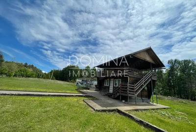 Vanzare teren *oportunitate investi?ie* situat in Carbune?ti-Sat, la DN 67B - 3