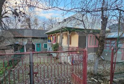 Casa rustica de vacanta (62mp) in sat Magura cu 1000mp teren - 1