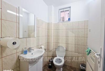 Spațiu comercial, de 400 mp, în Cetate