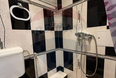 Apartament cu o camera de inchiriat- zona 6 Vanatori - 12