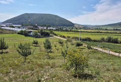 Teren de 12300 mp, în Crainimăt - 5