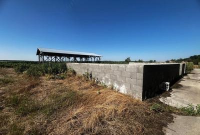 Spatiu pentru dispensar medical-veterinar si locuinta de serviciu cu teren mare - 15