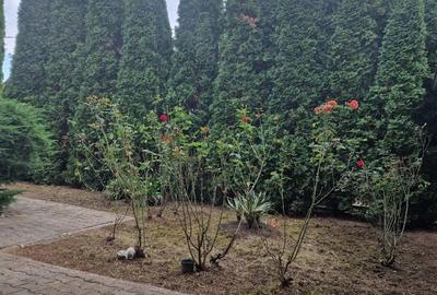 Casă cu 3 camere cu Teren 800 Mp în Sâncraiu de Mureș - 8