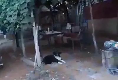 Casă cu 4 camere în Aldești - 5