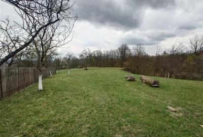 Teren intravilan de 9370 mp, în Țebea - 18