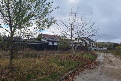 Teren Intravilan Curtea de Arges Teren Intravilan Curtea de Arges - 3