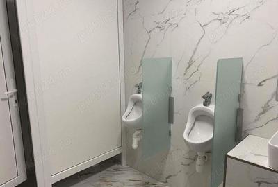 Spatiu SAD, Hala, depozit, Calea Aradului 246 - 486 mp - 3