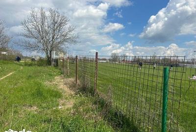 Teren de 1155 mp, în Giurgiului - 6