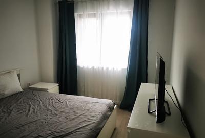 Apartament cu 2 camere semidecomandat în Vișan - 2