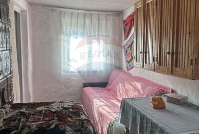 Casă cu 3 camere cu Teren 2609 Mp în Bârgăuani - 9