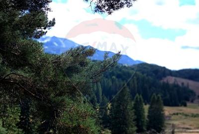Teren 4,698mp Poiana Brasov / Strada Pastorului - 7