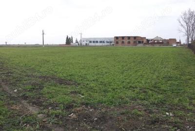 Spațiu comercial, în Cărpiniș - 25