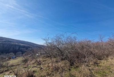 Teren de 23400 mp, în Ghioroc - 1