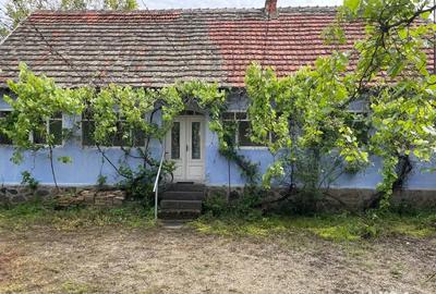 Vand casa in Sebis 2200 mp teren - 5