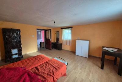 Casă cu 2 camere cu Teren 750 Mp în Biharia - 5