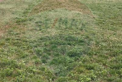 Teren Construcții intravilan de 405 mp, în Partoș - 3