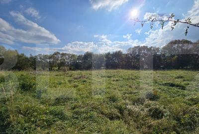 Teren de 1200 mp, în Sălicea