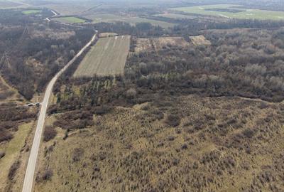 Teren agricol extravilan de 952372 mp, în Constantin Daicoviciu - 1