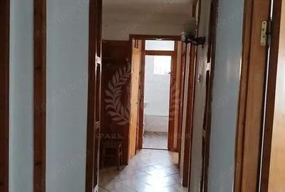 3 CAMERE // PARCUL MIHAI VITEAZU //2 BAI // PET FRIENDLY - 4