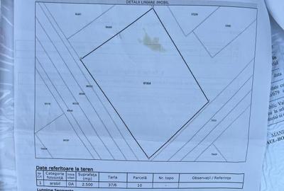 Teren de 2500 mp, în Petru Rareș - 1
