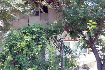 Vand casa ,sat Goruni,com Tome?ti ,jud Iasi - 3