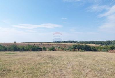 Teren Construcții intravilan de 2136 mp, în Grădiștea - 1