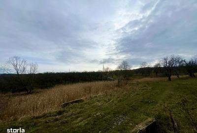 Spațiu comercial, în Borhanci