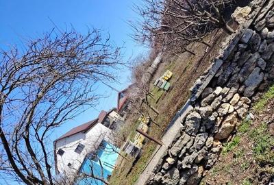 Teren de 1000 mp, în Limanu - 3