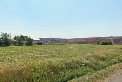 Teren de 5000 mp, în Biharia - 1