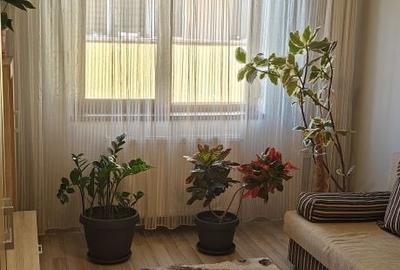 Apartament cu 2 camere decomandat în Bârzești - 5