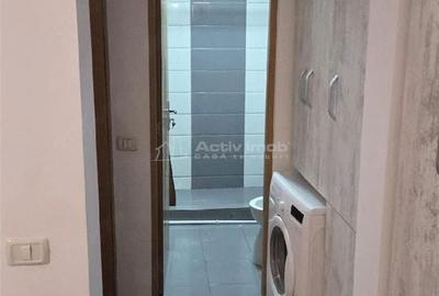 Apartament cu 2 camere în Șega - 2